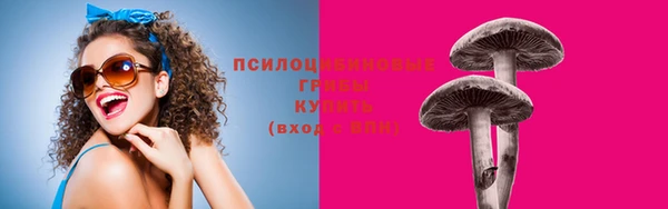 альфа пвп Баксан